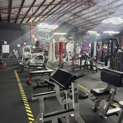 Comander Gym