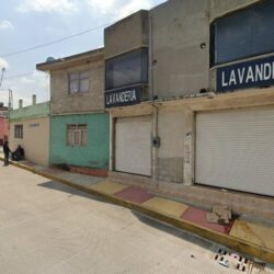 LAVANDERIA