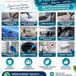 Mapal Limpieza Profunda| Los Mochis