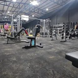 Alpha Gym
