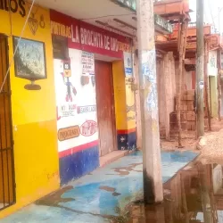 La brochita de oro