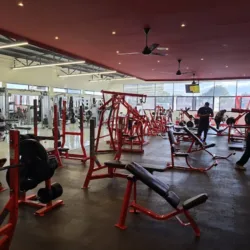 MTNT GYM