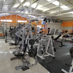 Forza Gym