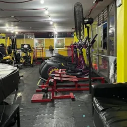 H.fitness