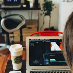 Orca Estudio