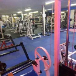 Max Gym