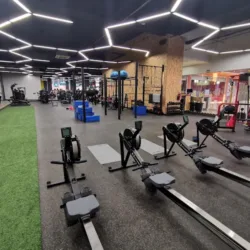 Dexfit Punto Sur