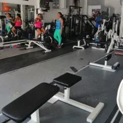 DOBER GYM