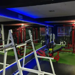 SPIDER GYM