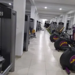 ALFA GYM