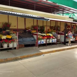 Mercado Tonala venta de platano