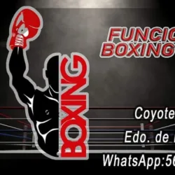 Funcional Boxing Gym