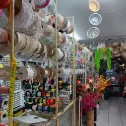 La Orquidea Floreria y Merceria