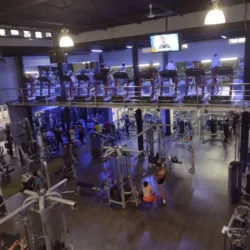 Sportica Premier