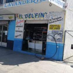 Lavandería y tintorería "El delfín"