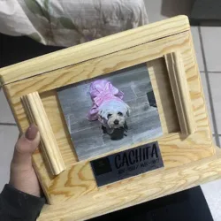 Almascotas, Servicio de cremación para mascotas