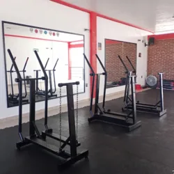 Iron Fit Gym and Fitness