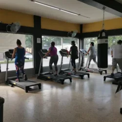 GYM MEME FLORES RABBIT BASIC GYM