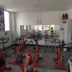 Advance Gym
