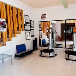 POWER PLATE TONALÁ