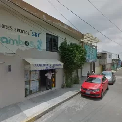Papeleria Y Merceria "Flores"