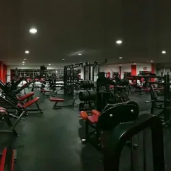 Forza Fitness & Gym