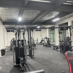 Potros GYM