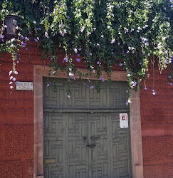 París Tintorería