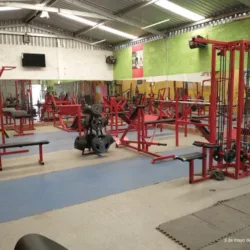 Gym Time