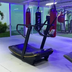 Morfitness