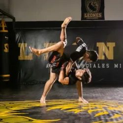 Leones Fight Academy