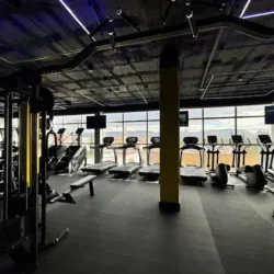 OP Fitness