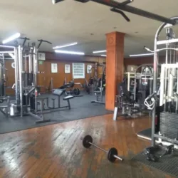 Club del bosque gym