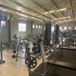Dynamis Gym