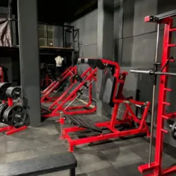 CHAN SYSTEM TRAINING GYM