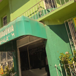 Impala Limpiaduría