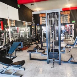 Gimnasio olympo