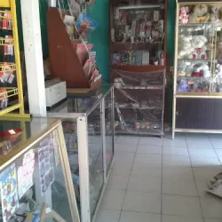 Papelería y Mercería Janet