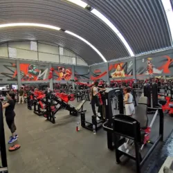 Iconik Pro GYM