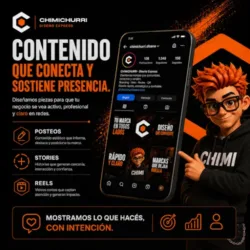 CHIMICHURRI - Diseño Express