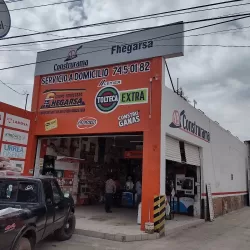 Grupo Ferretero Fhegarsa S.A. de C.V.