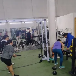 lions Gym