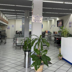 Lavandería Chimali