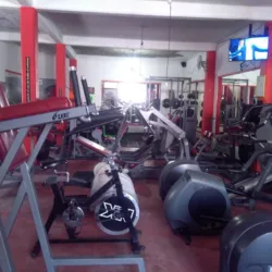 Gym Tiger