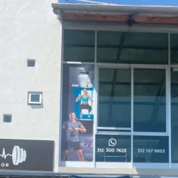 Gym Depredador