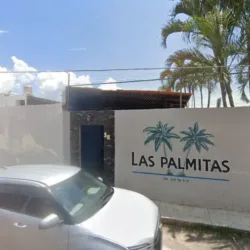 Local Las palmitas