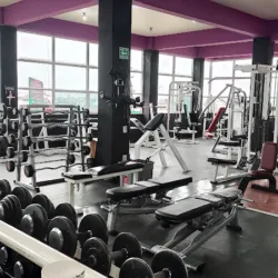 Women fitness
