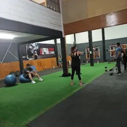 Alpha training studio