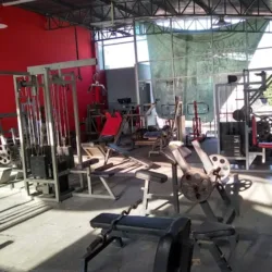 SPORTA