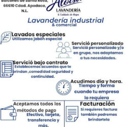ALOISA LAVANDERÍA & CUIDADO DE LA ROPA